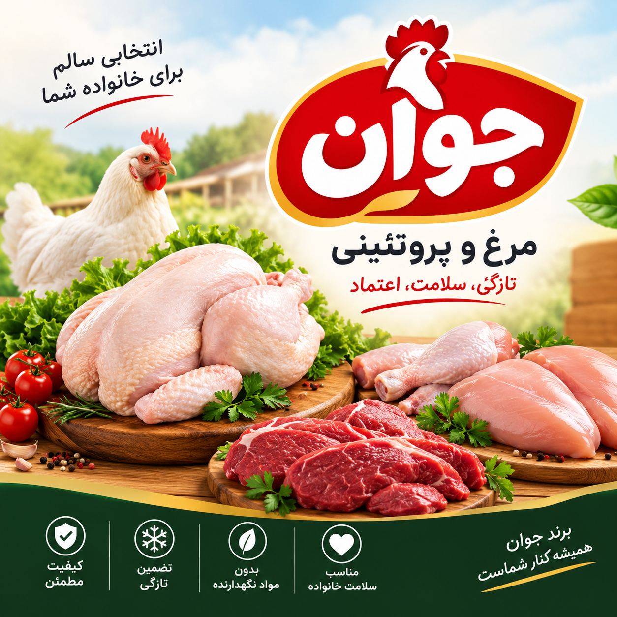 مرغ و پروتئینی جوان