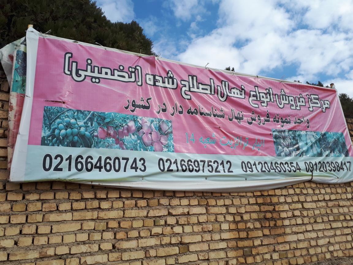 انبار موسسه ایران نهال