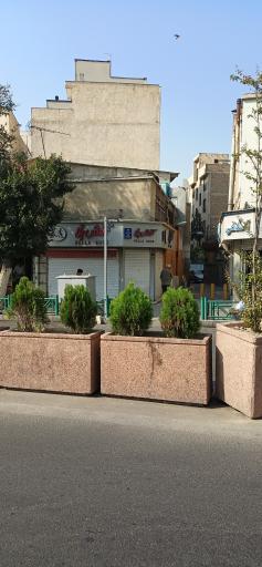 کفش بلا