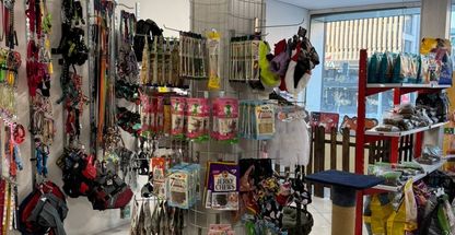 کلینیک دامپزشکی آوین