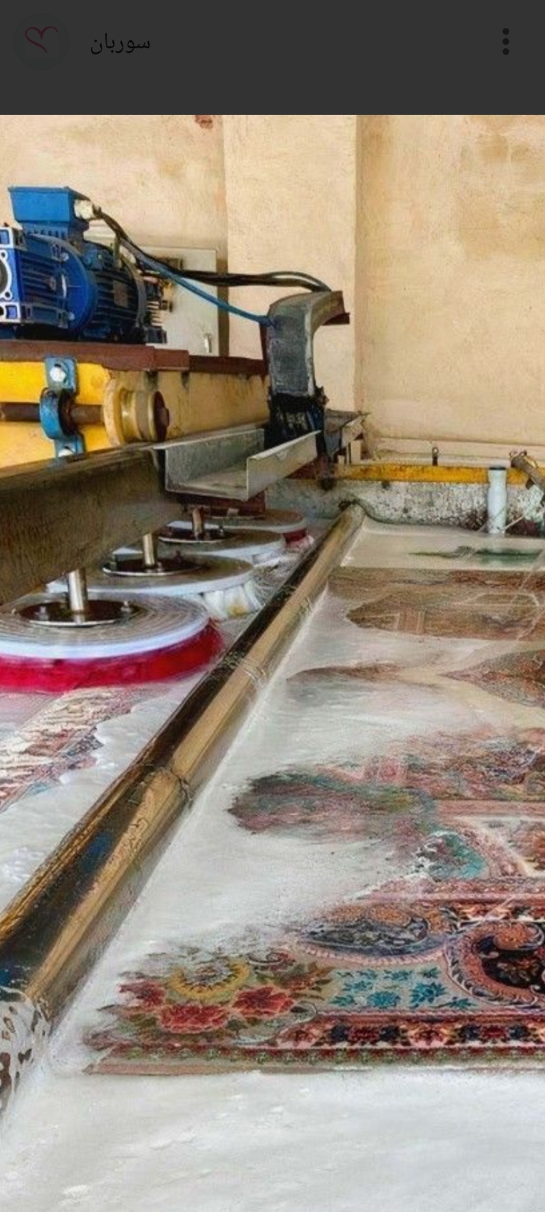 قالیشویی امیران