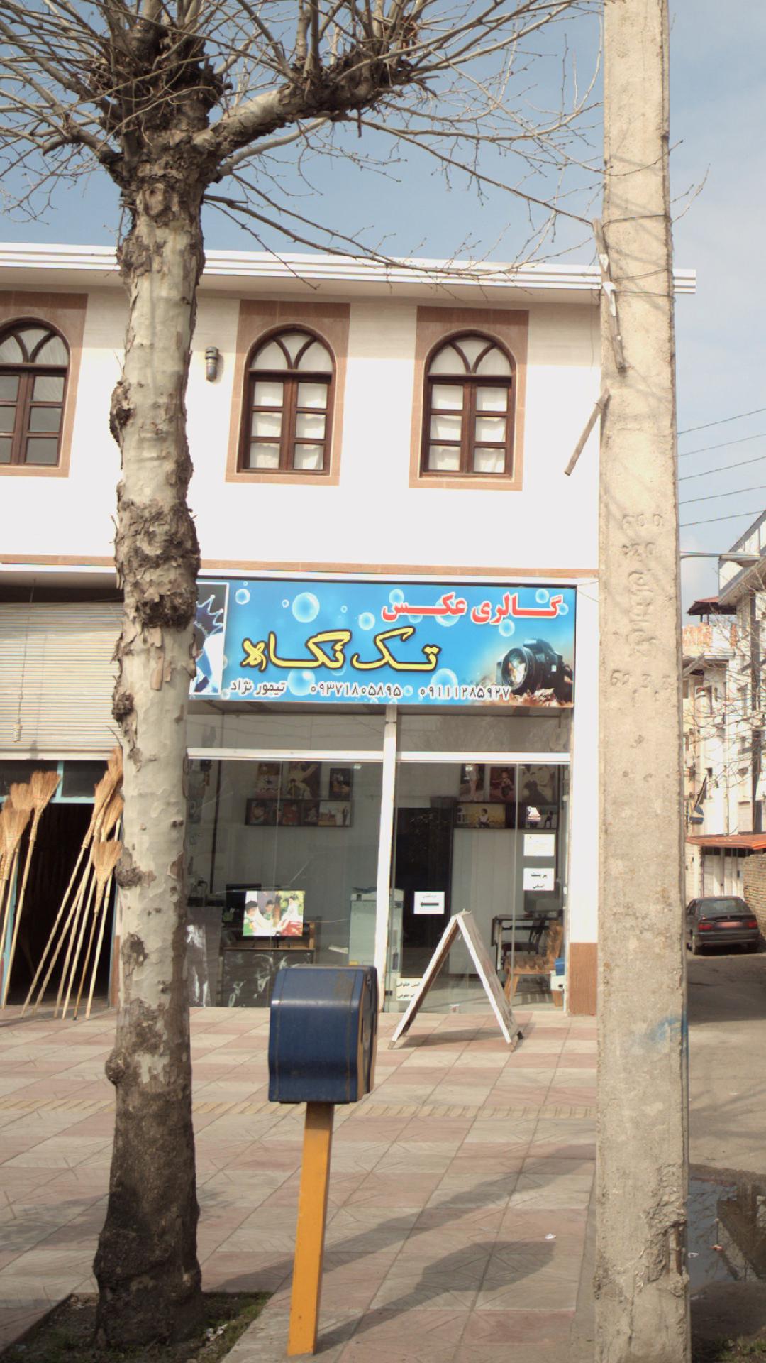 گالری عکس تک نگاه