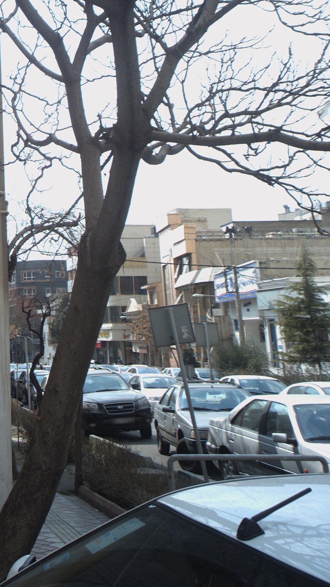 بانک پارسیان (شعبه دیباجی جنوبی)