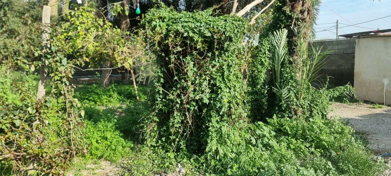 اقامتگاه بوم گردی قلعه بختیاری