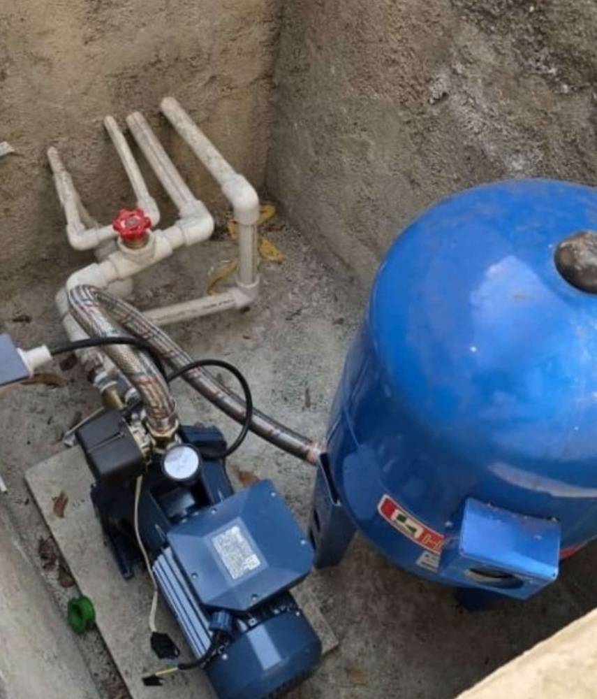 علیرضا دالایی