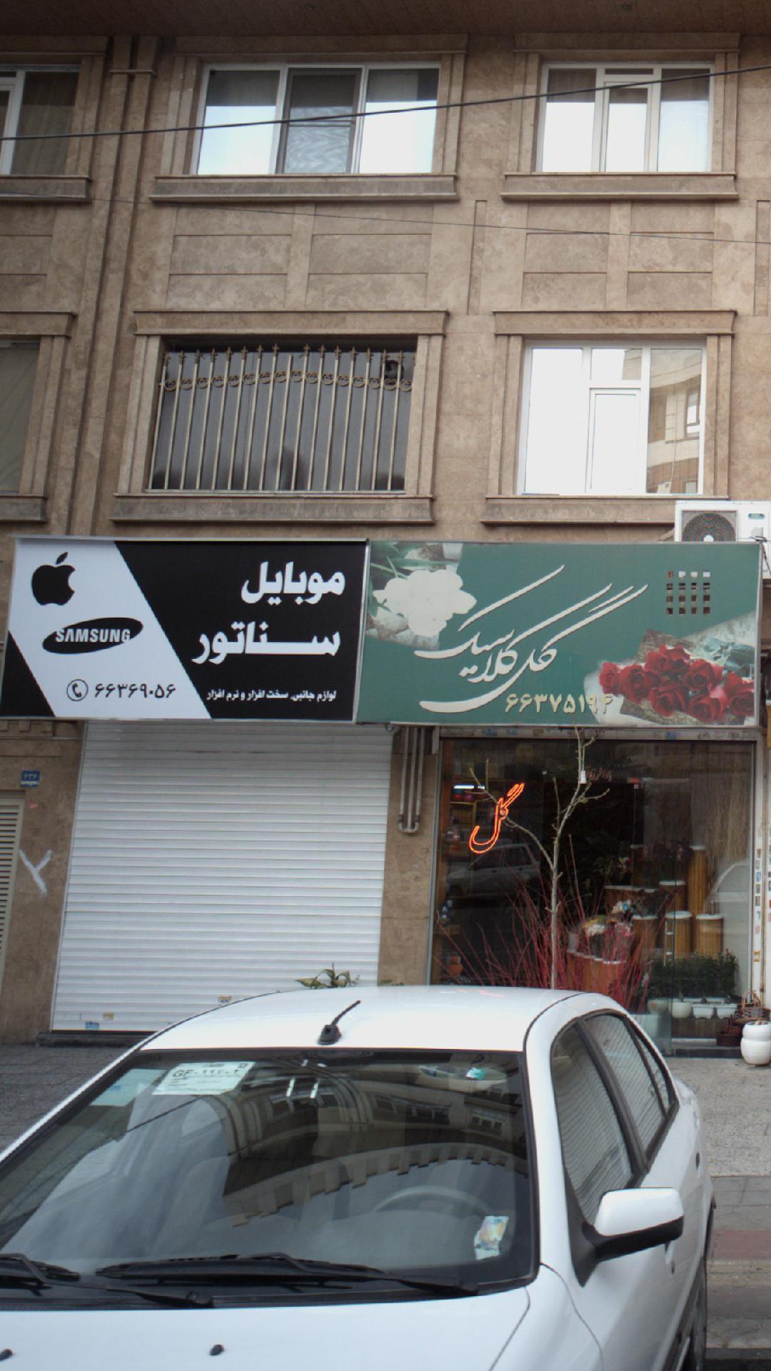 عمو جانبی