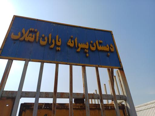 یاران انقلاب