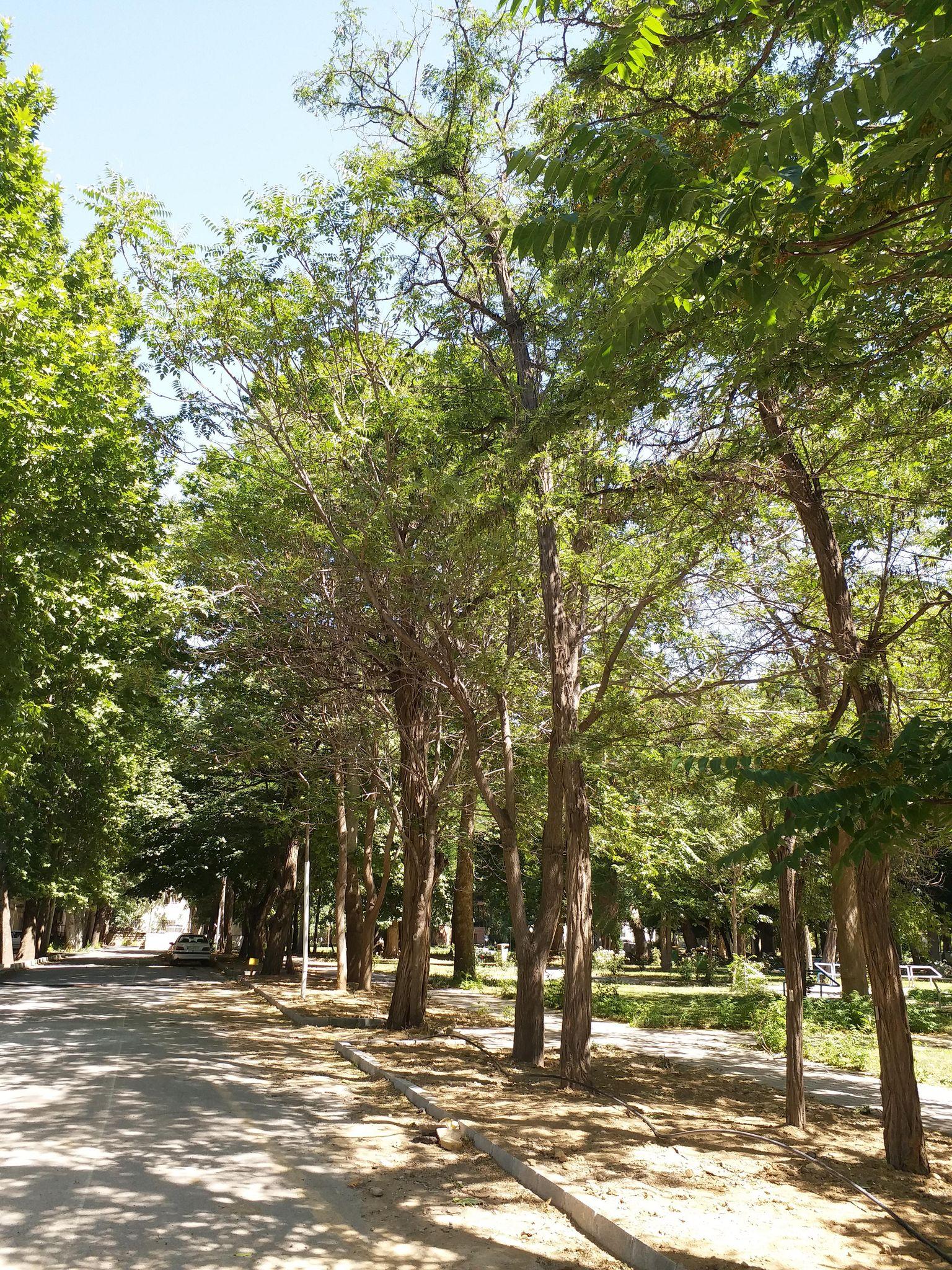 پردیس تاریخی دانشگاه ارومیه