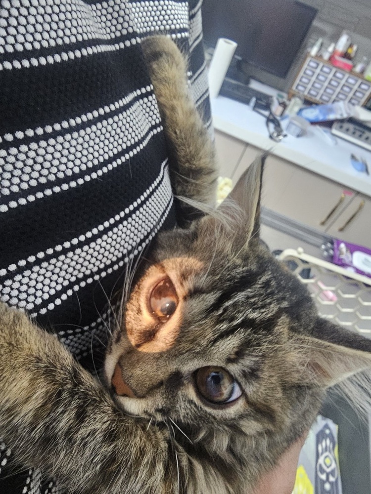 حسین سام کن