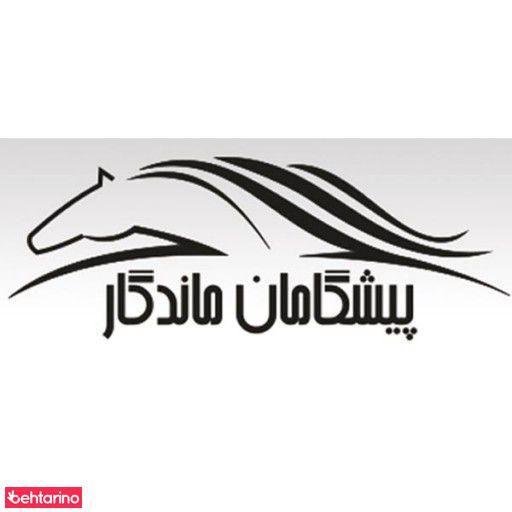 شرکت پیشگامان ماندگار