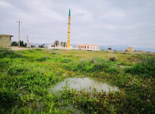 مسجد دهمیان
