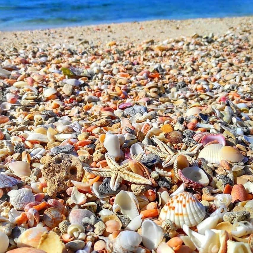 اقامتگاه بوم گردی پرک