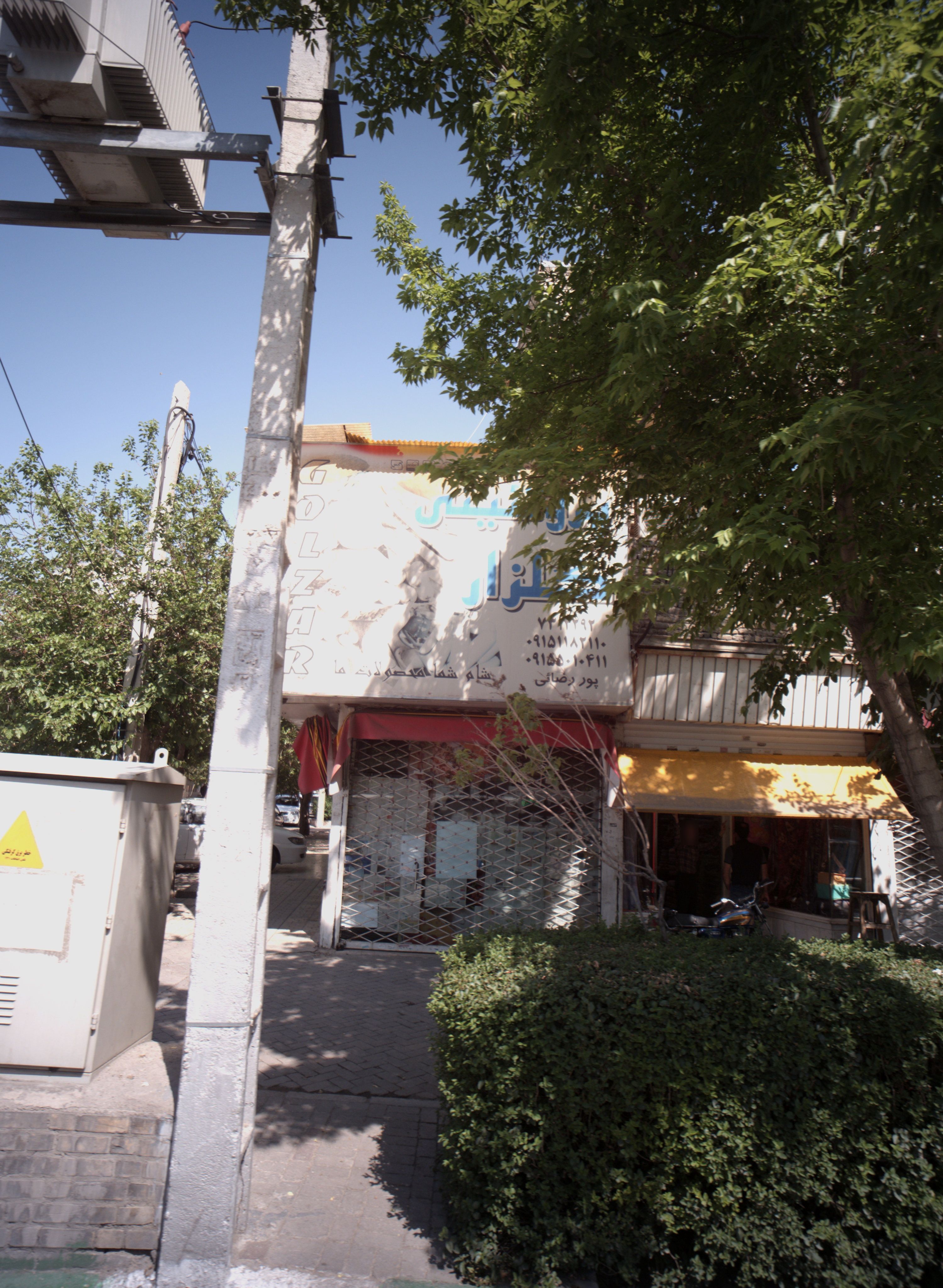 پروتئینی گلزار