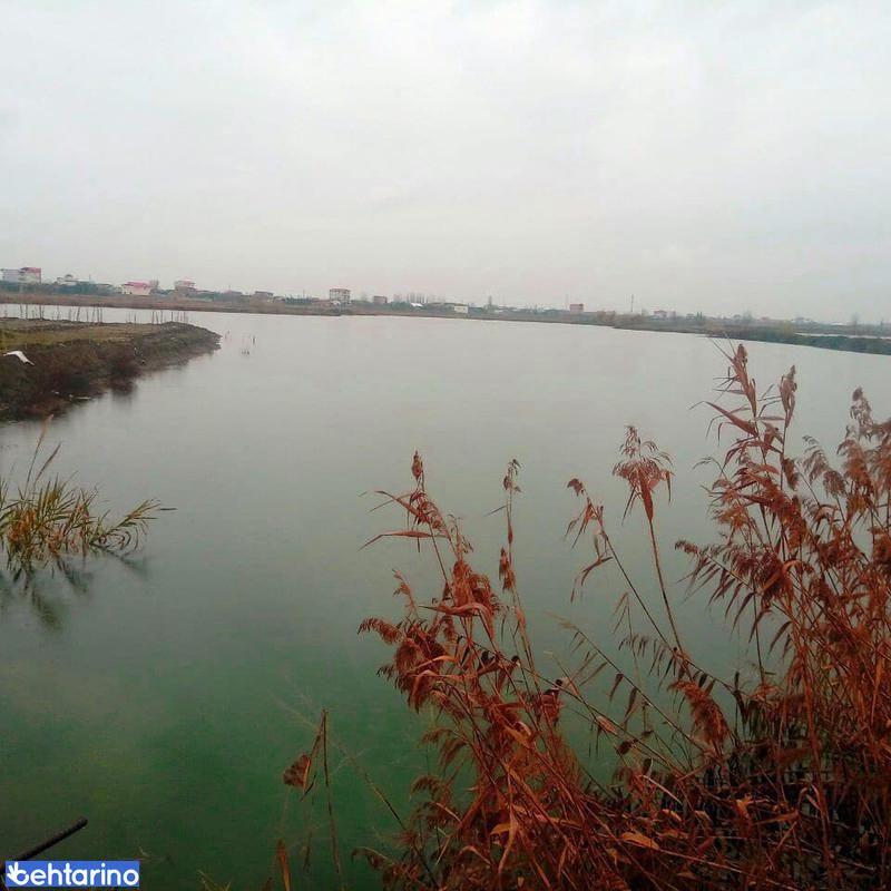 آب بندان روستای شموشک