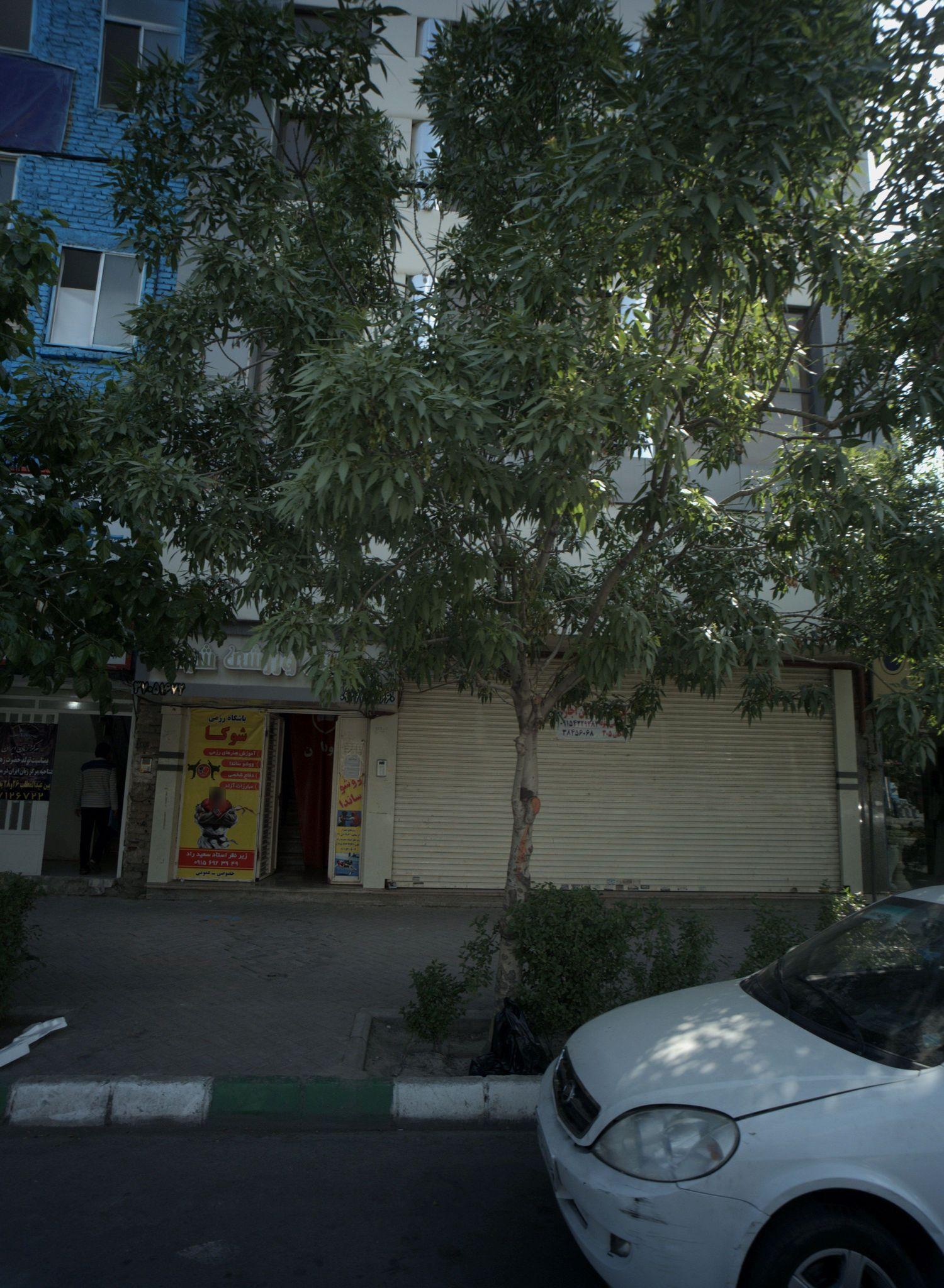 باشگاه ورزشی شوکا