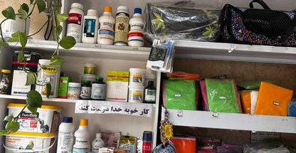 پرنده فروشی کاکلی