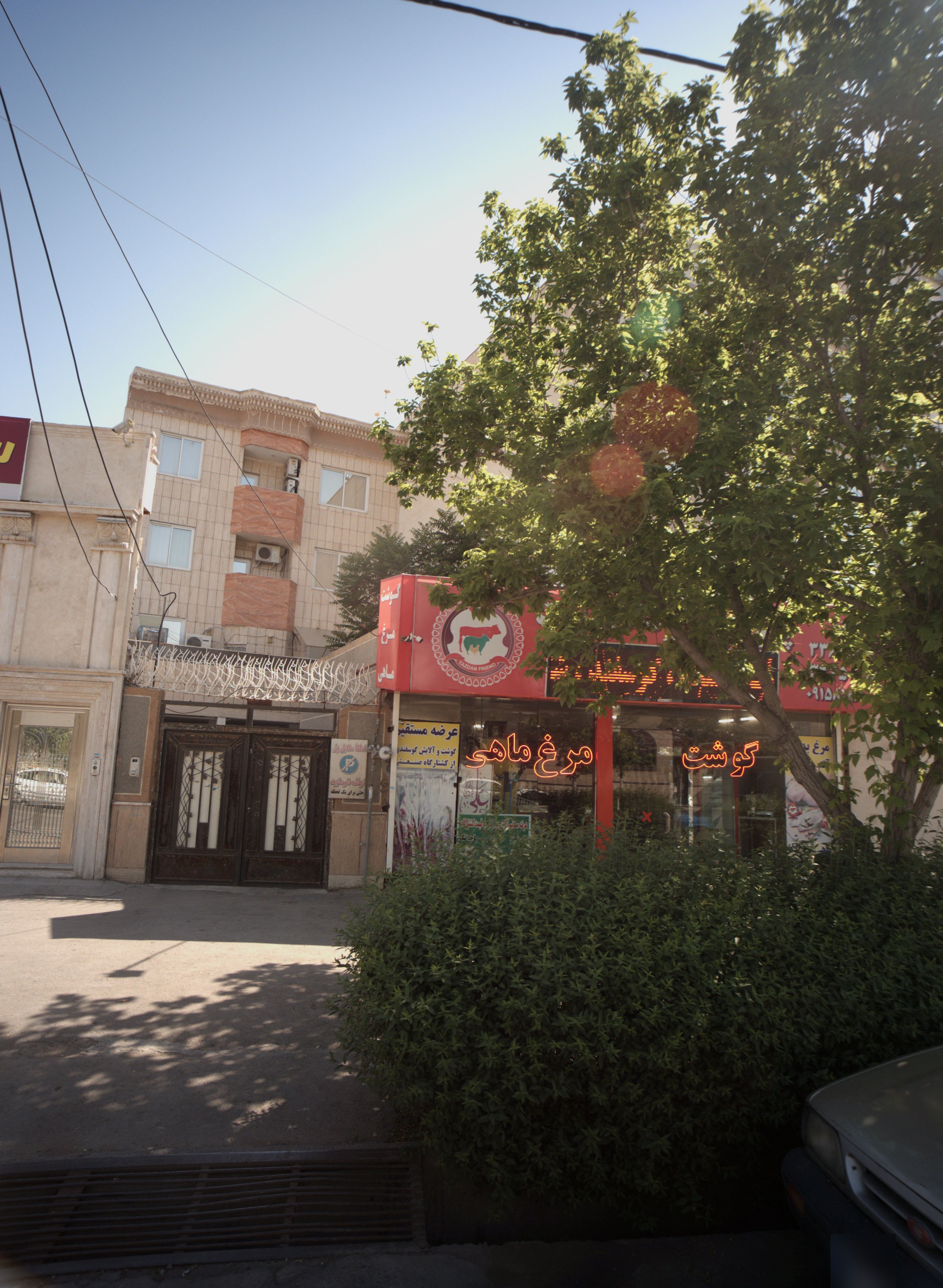 پروتئین یزداندوست