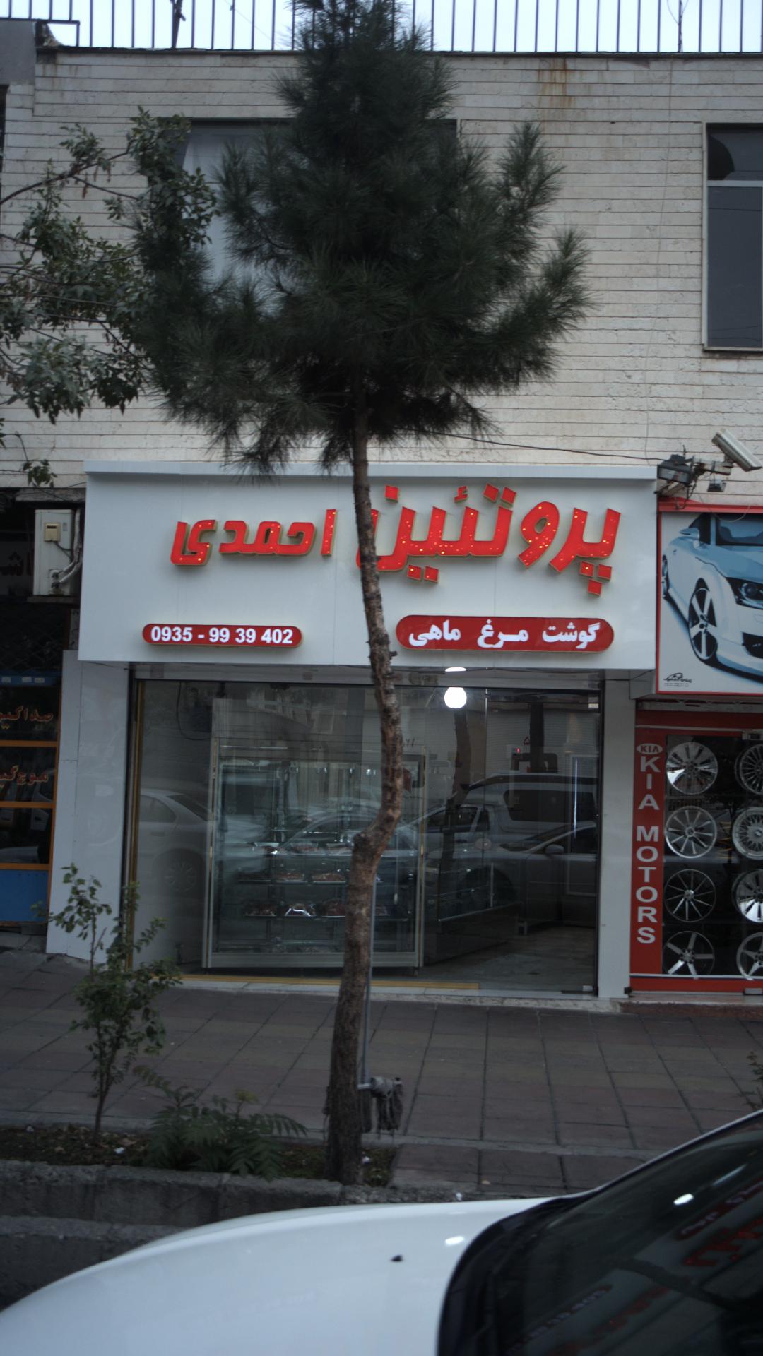 پروتئنی احمدی