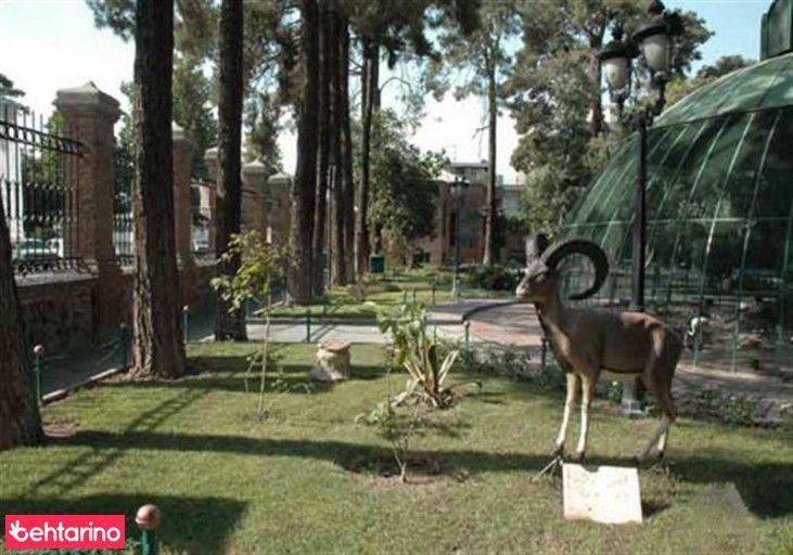 موزه حیات وحش و آثار طبیعی هفت چنار