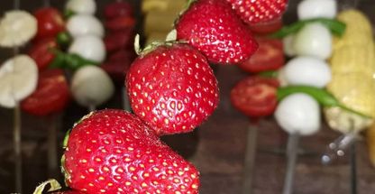 جگرسرای گلشن