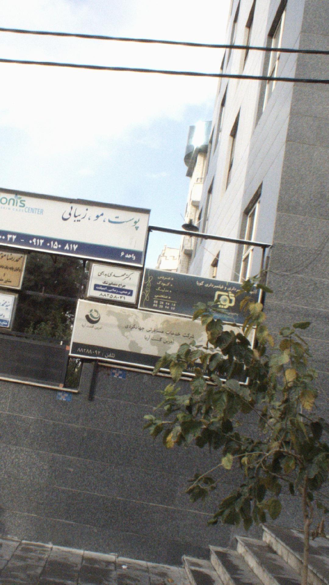 آدرین گشت اریا