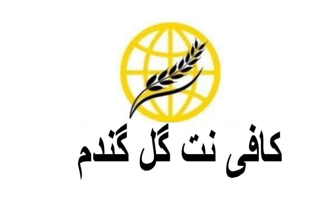 کافی نت گل گندم
