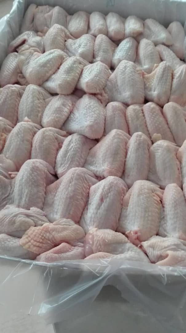 پخش مرغ و گوشت خانلری