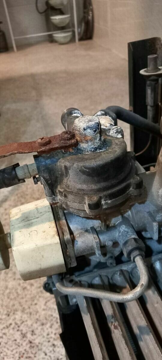 عباس فریسات