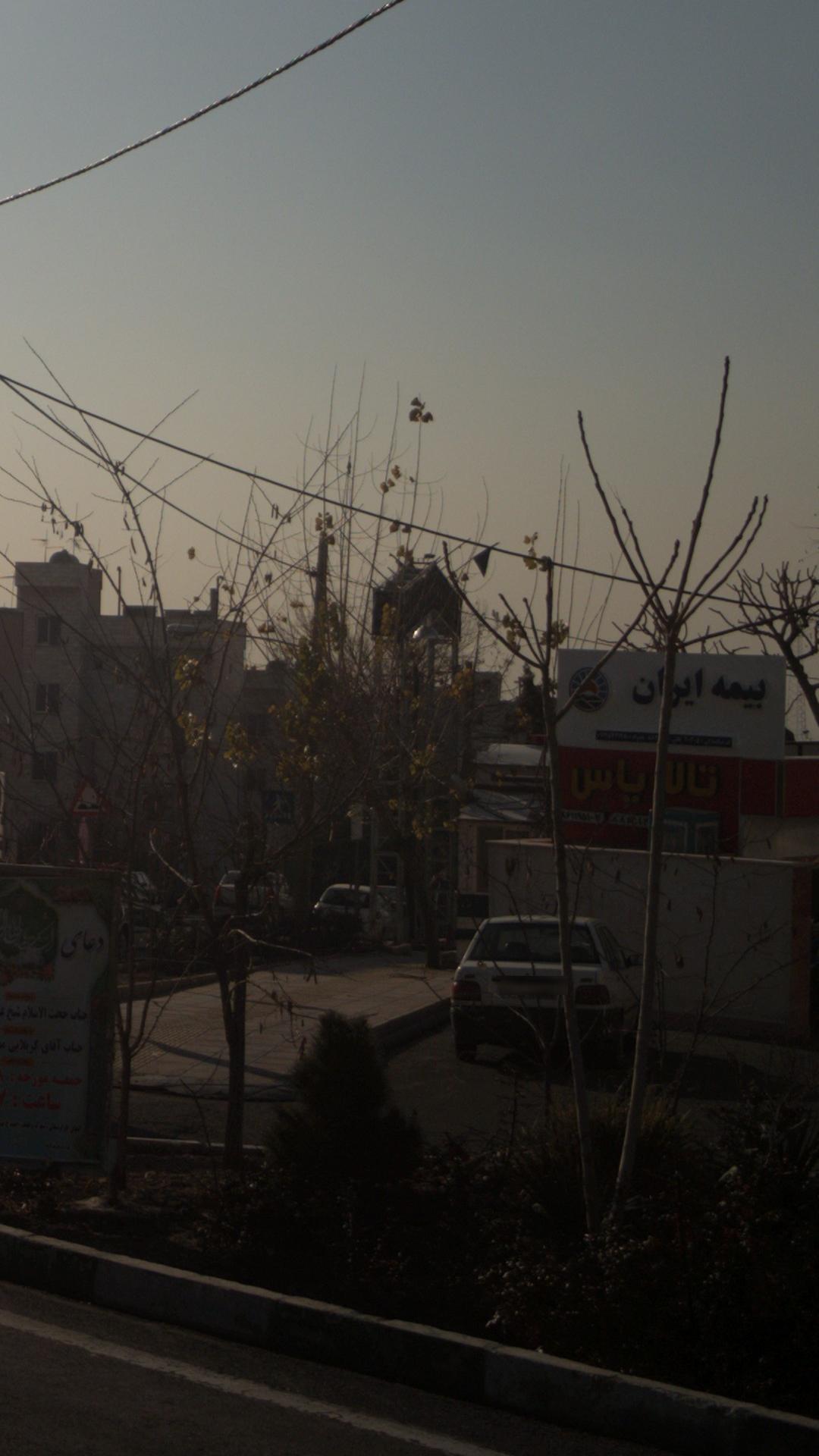 بیمه ایران