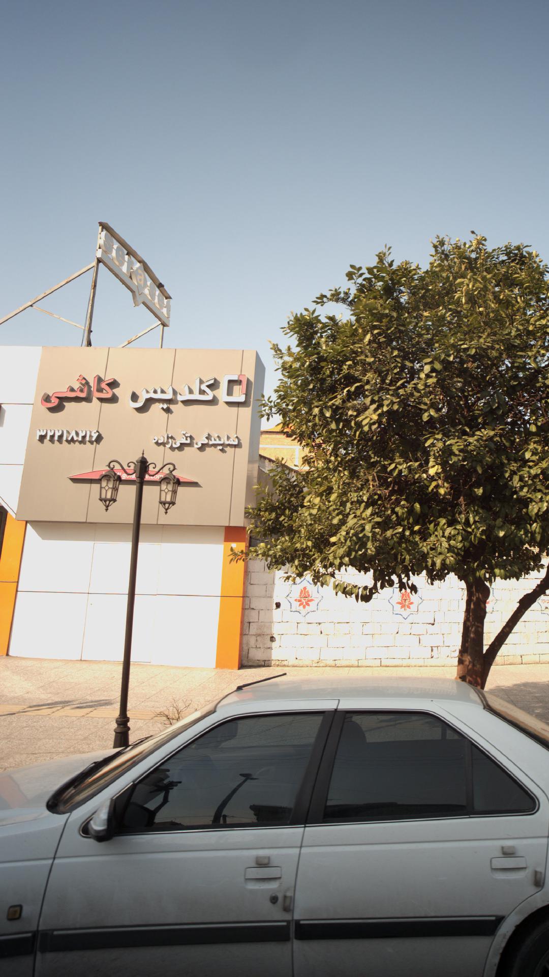 گلدیس کاشی
