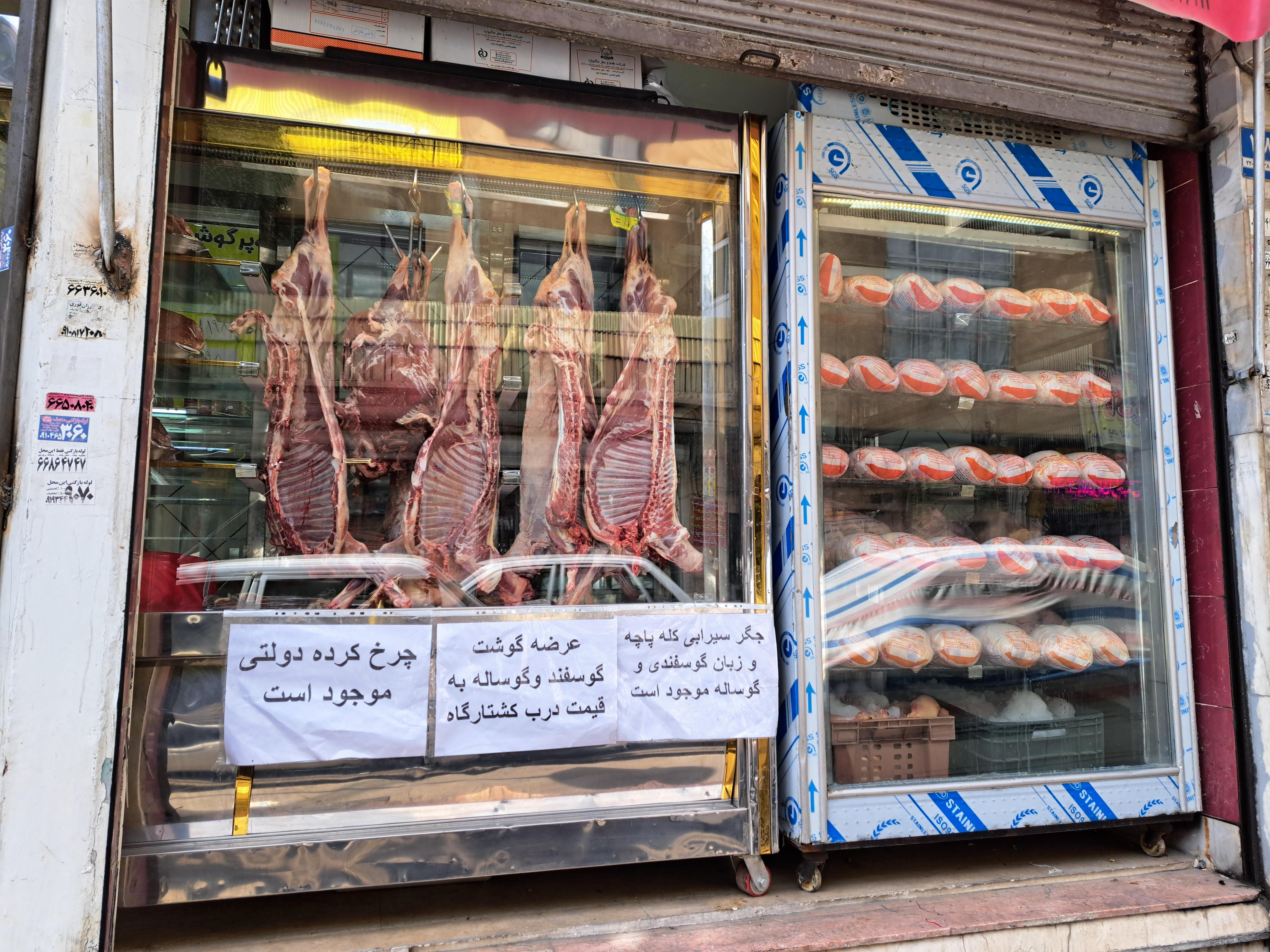 پروتئین گوشت ومرغ مظلومی