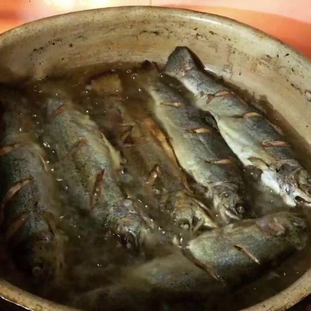 رستوران گیشی سنگ