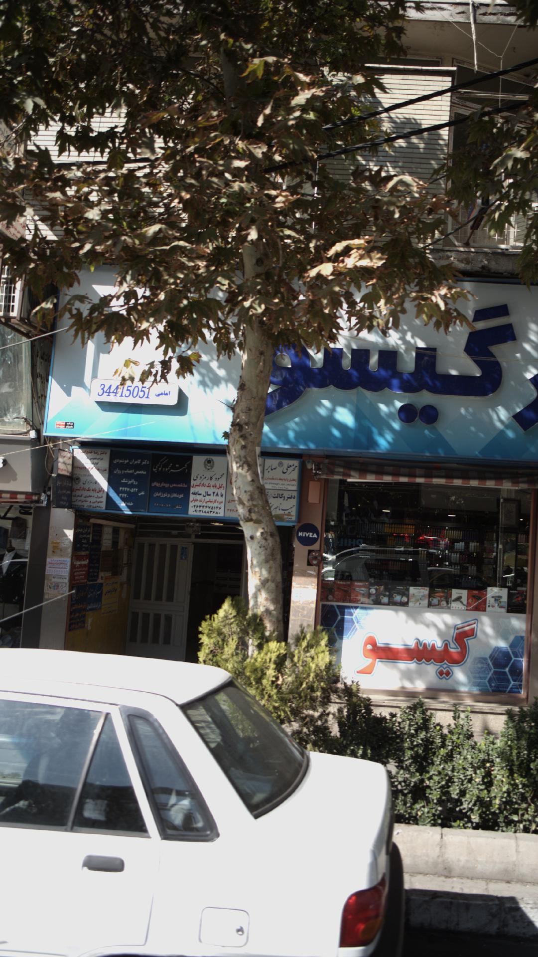 دکتر محمود کوکبی
