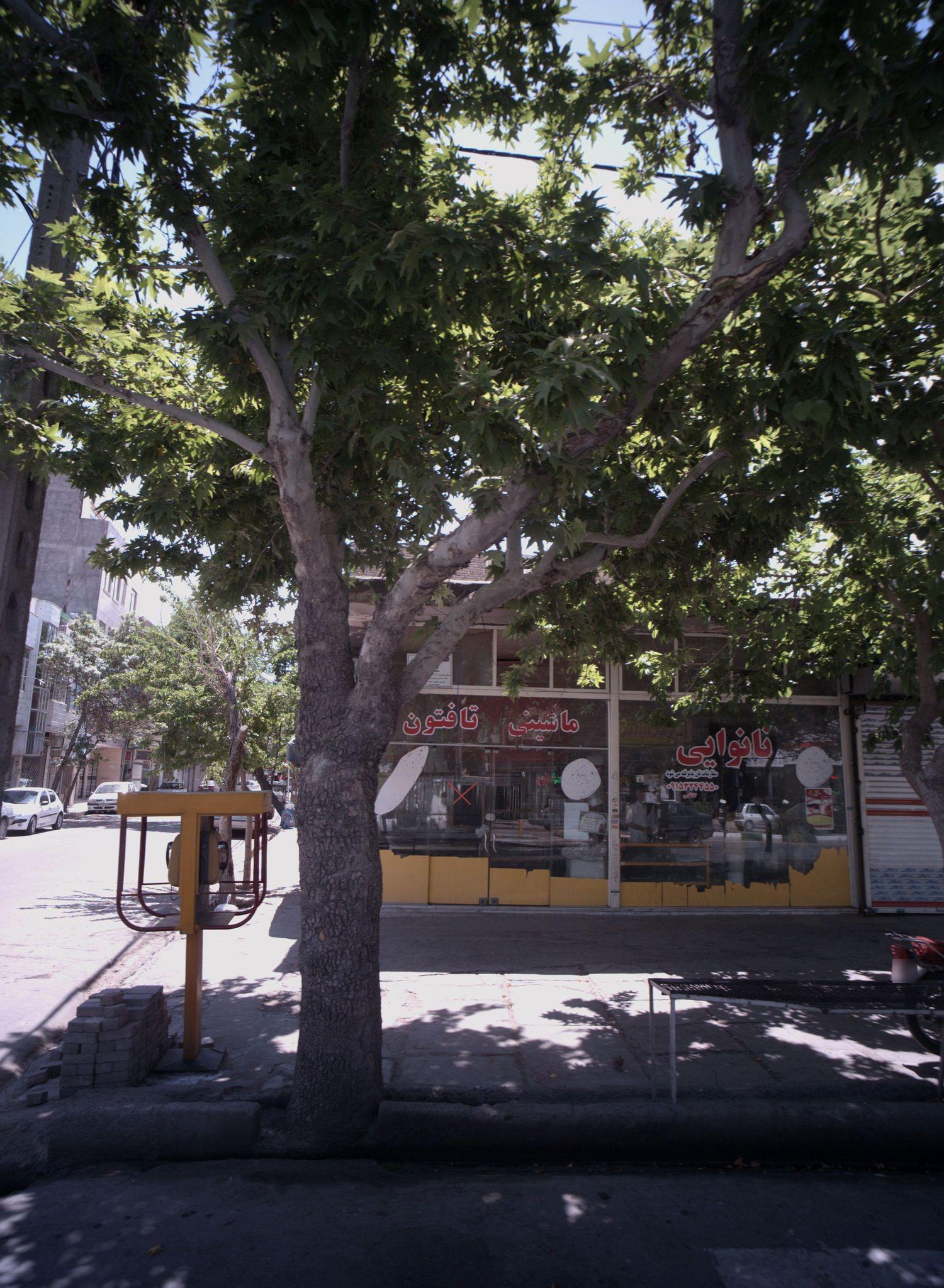 نانوایی ماشینی تافتون