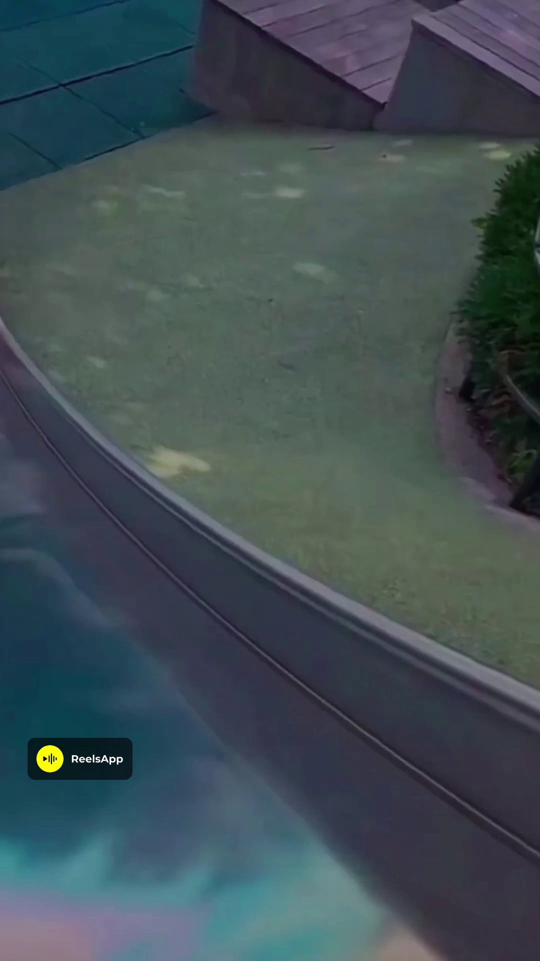 شریفی بستنی خشک