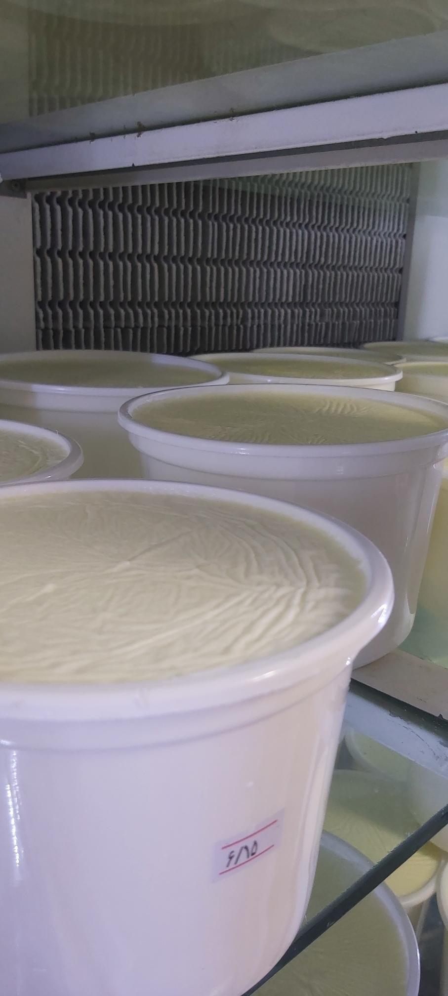 لبنیات محلی سنتی نصر