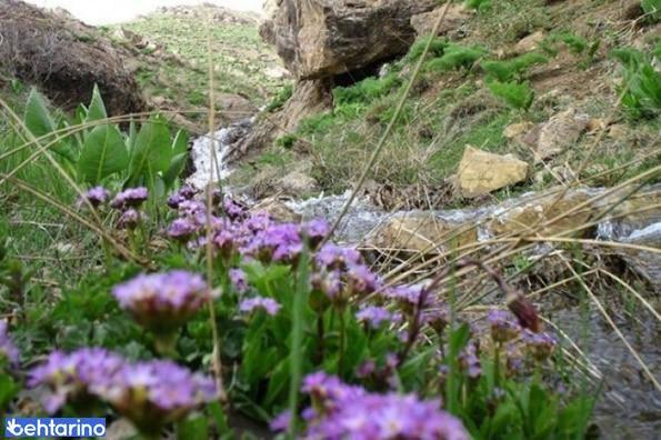 رودخانه ارنزک (رودخانه ارنجک)