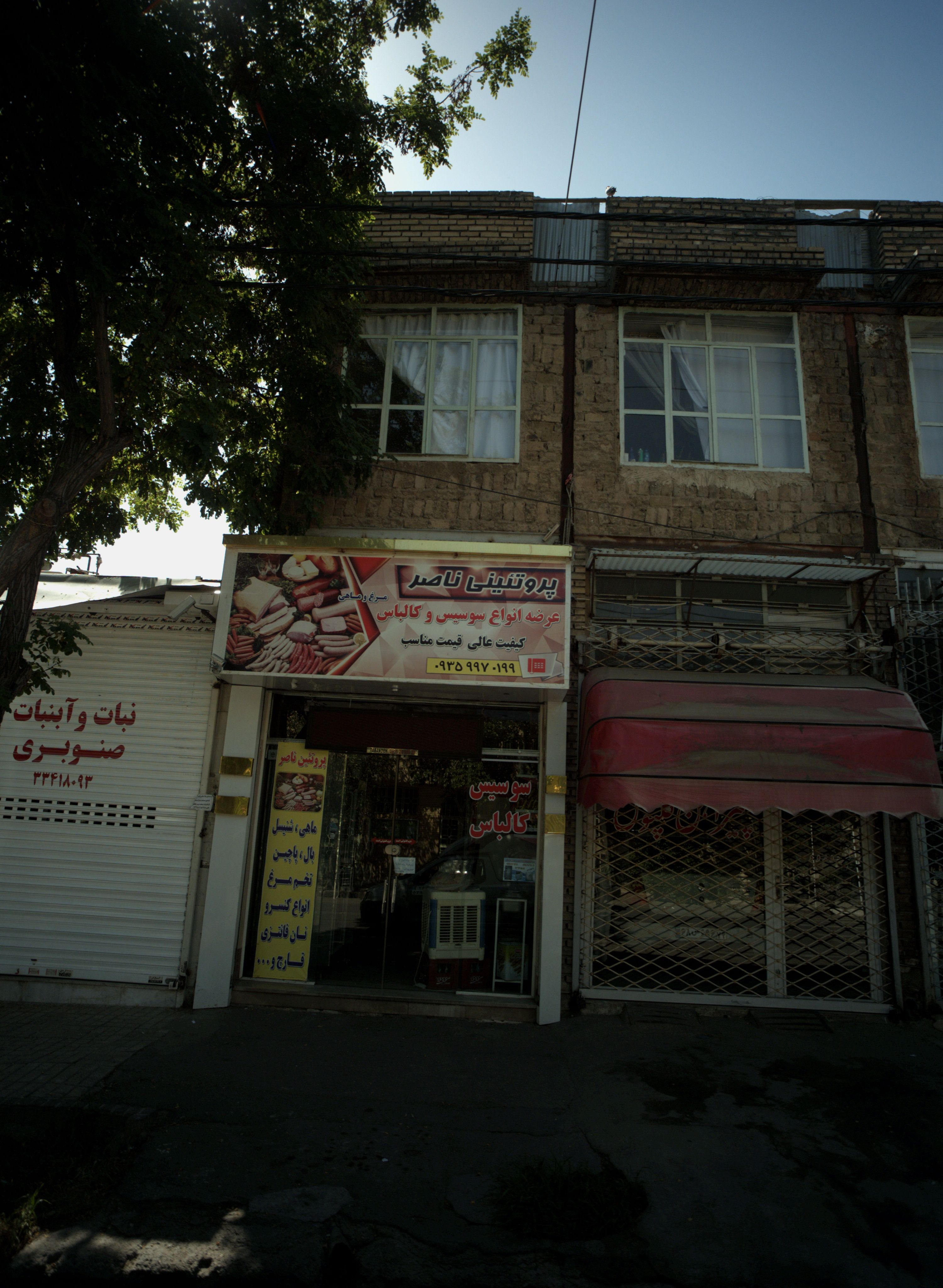 پروتئینی ناصر