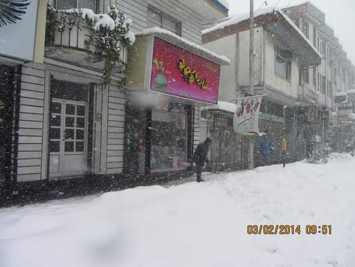 نی نی مارکت شازده کوچولو