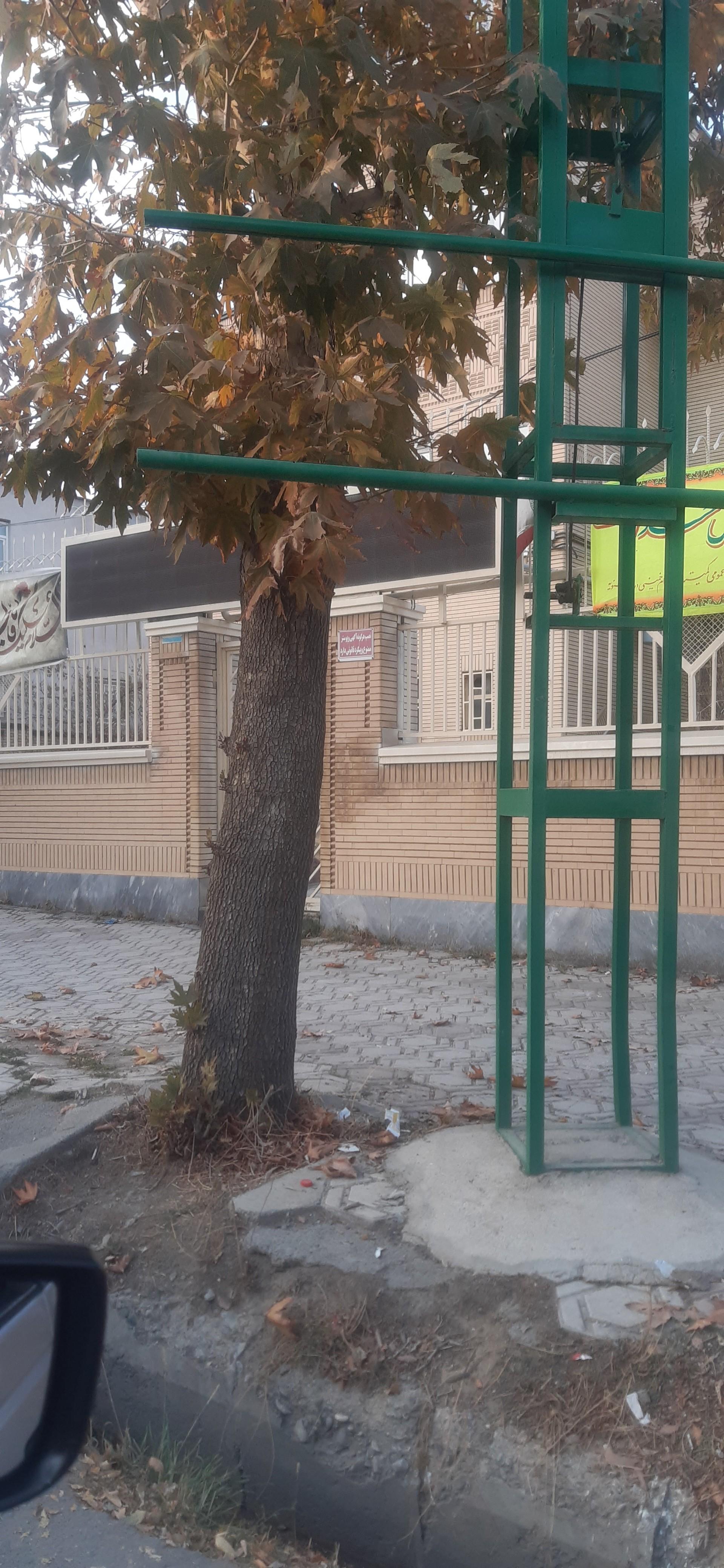 سازمان حمل ونقل همگانی شهرداری اشنویه