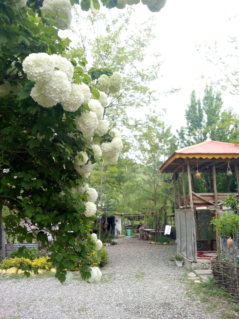 کافه‌ رستو‌ران‌ سنتی‌ کندو