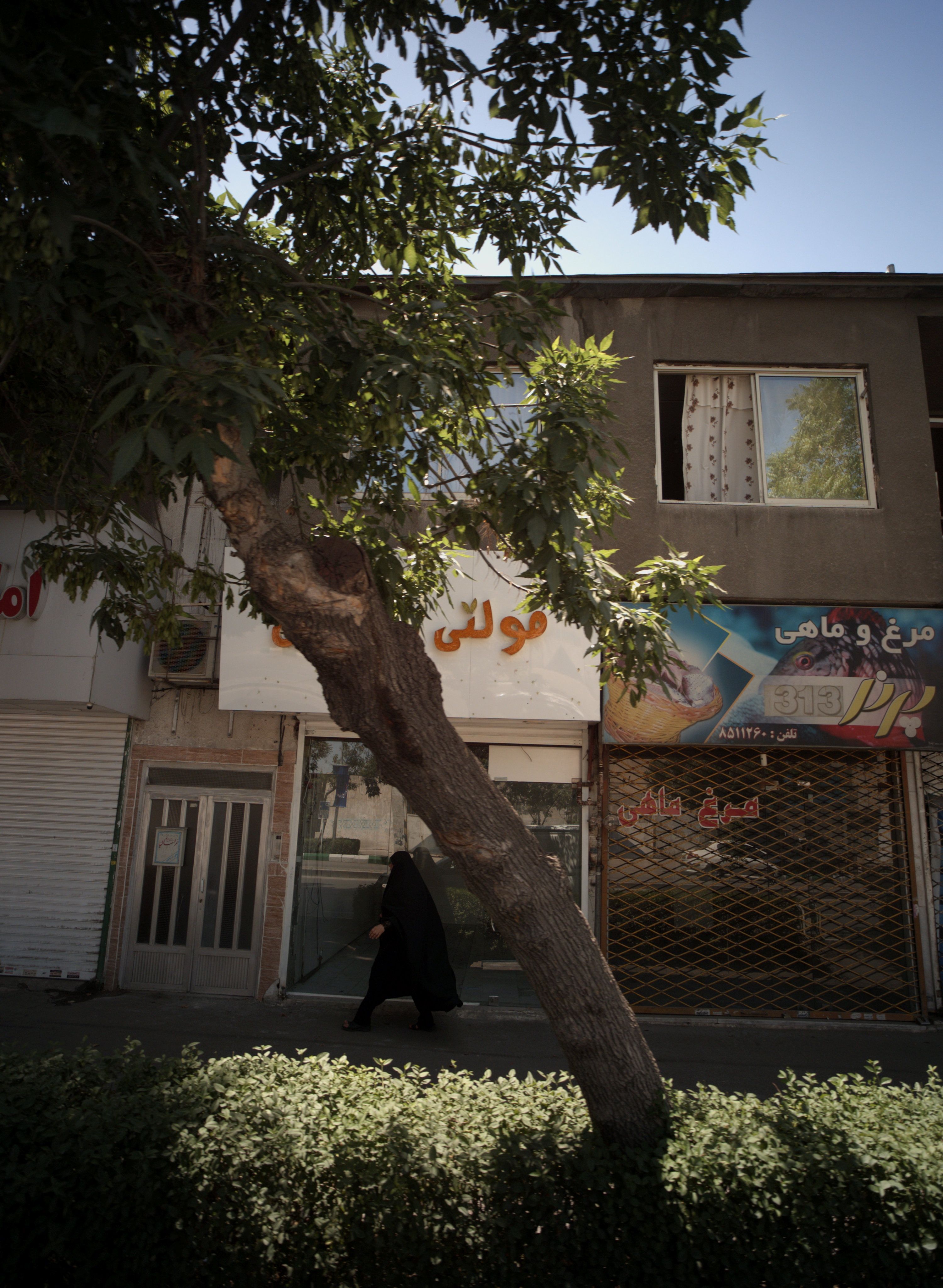 فروشگاه پروتئینی پرند 313