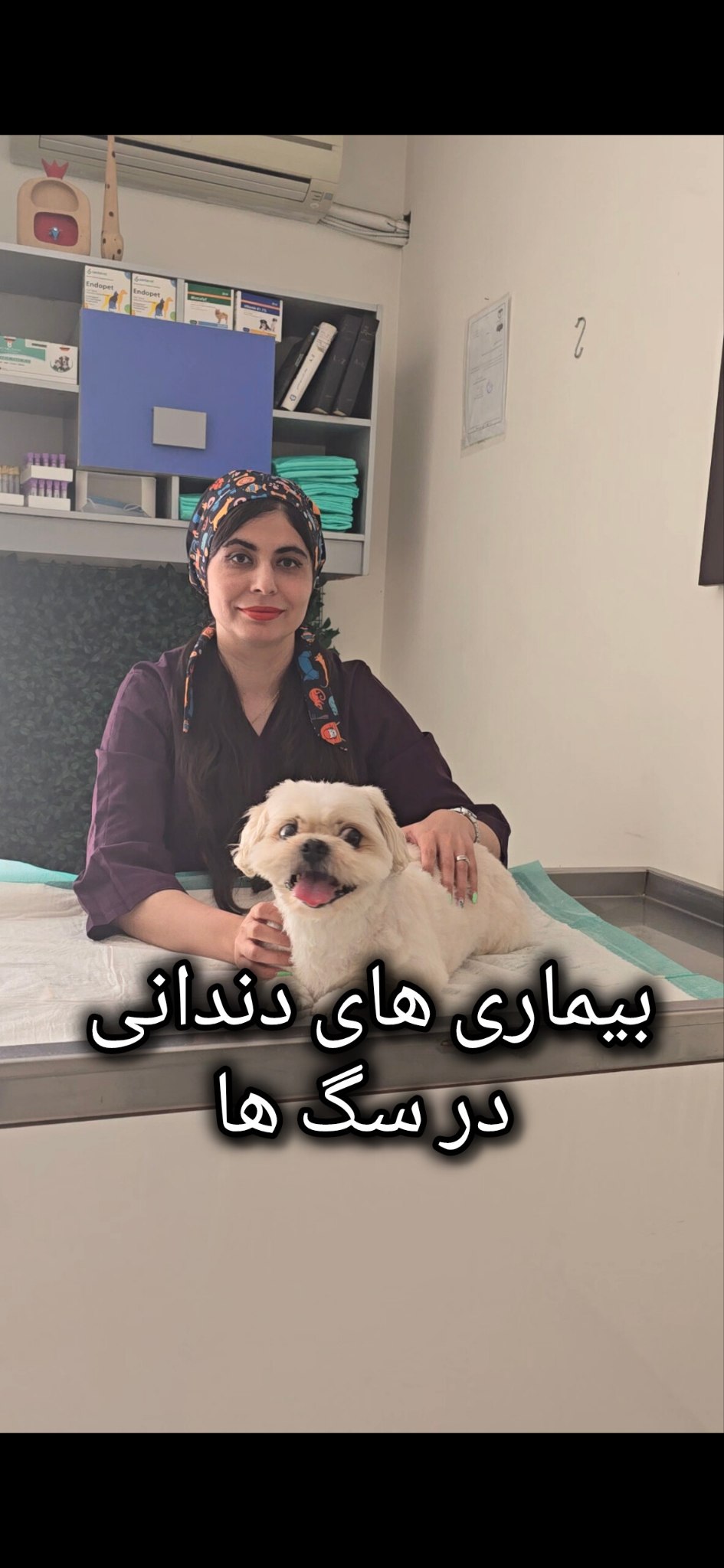 کلینیک دامپزشکی تریتامیرداماد