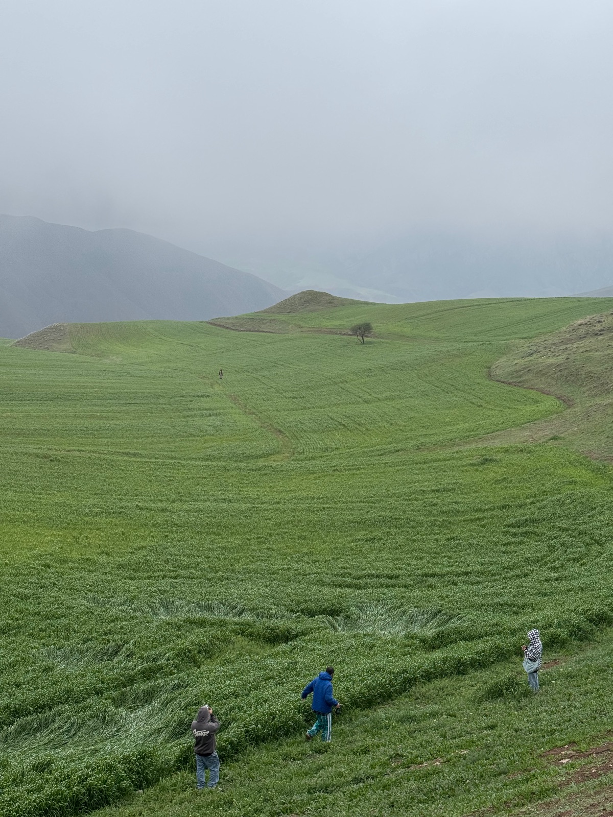 استودیوی عکاسی