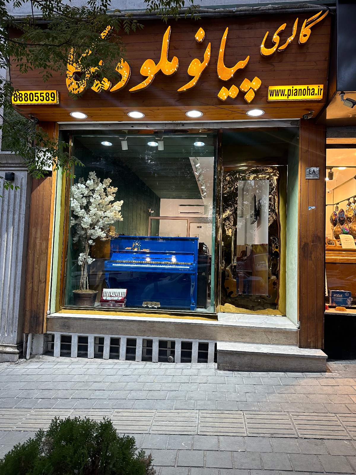گالری پیانو ملودیکا