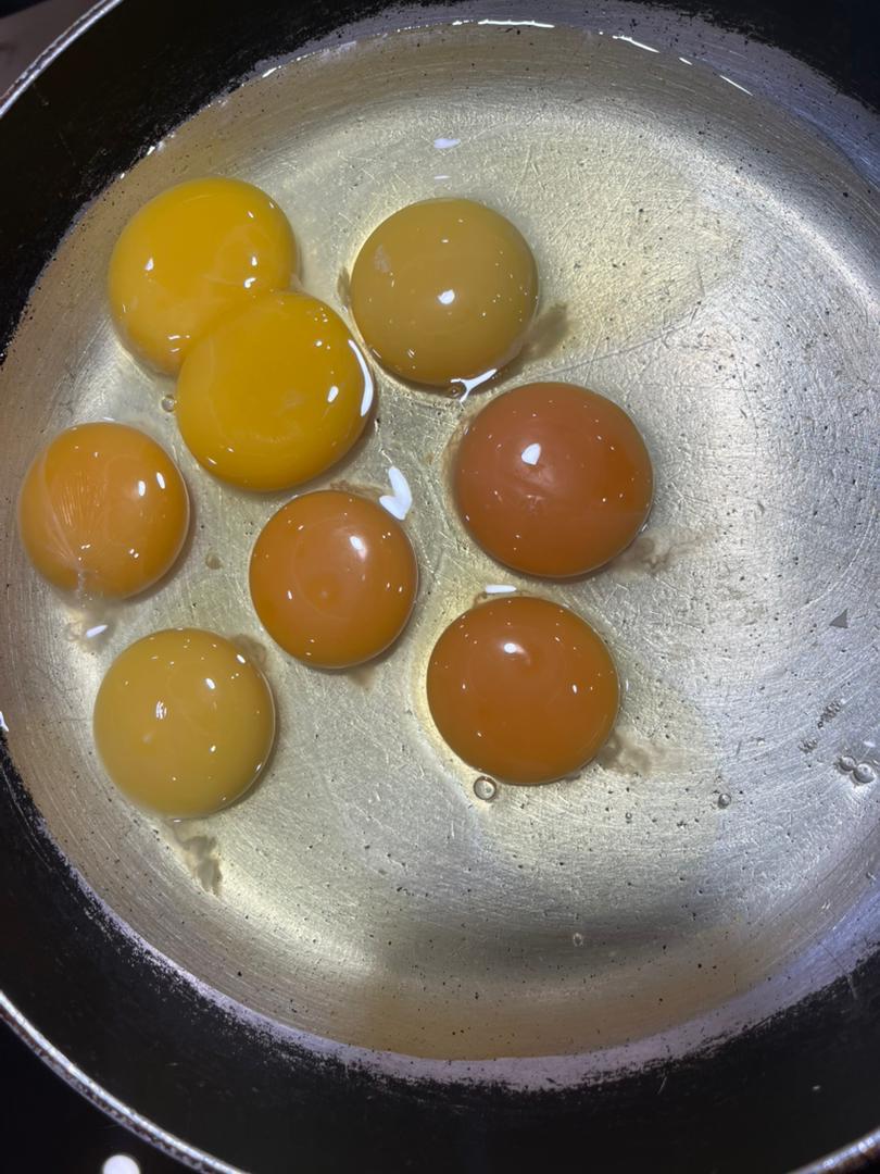 تولید و پخش تخم مرغ کیا الوان