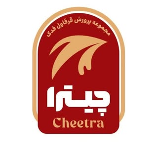 کافه رستوران چیترا مجموعه قرقاول فدک