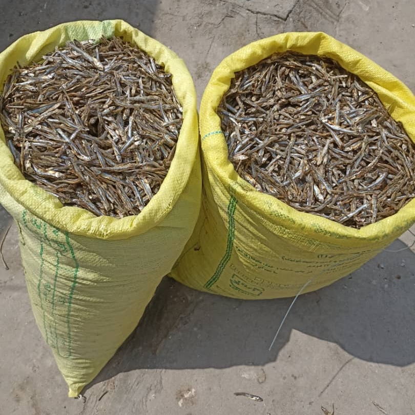 مزرعه ی ماهی خشک علی