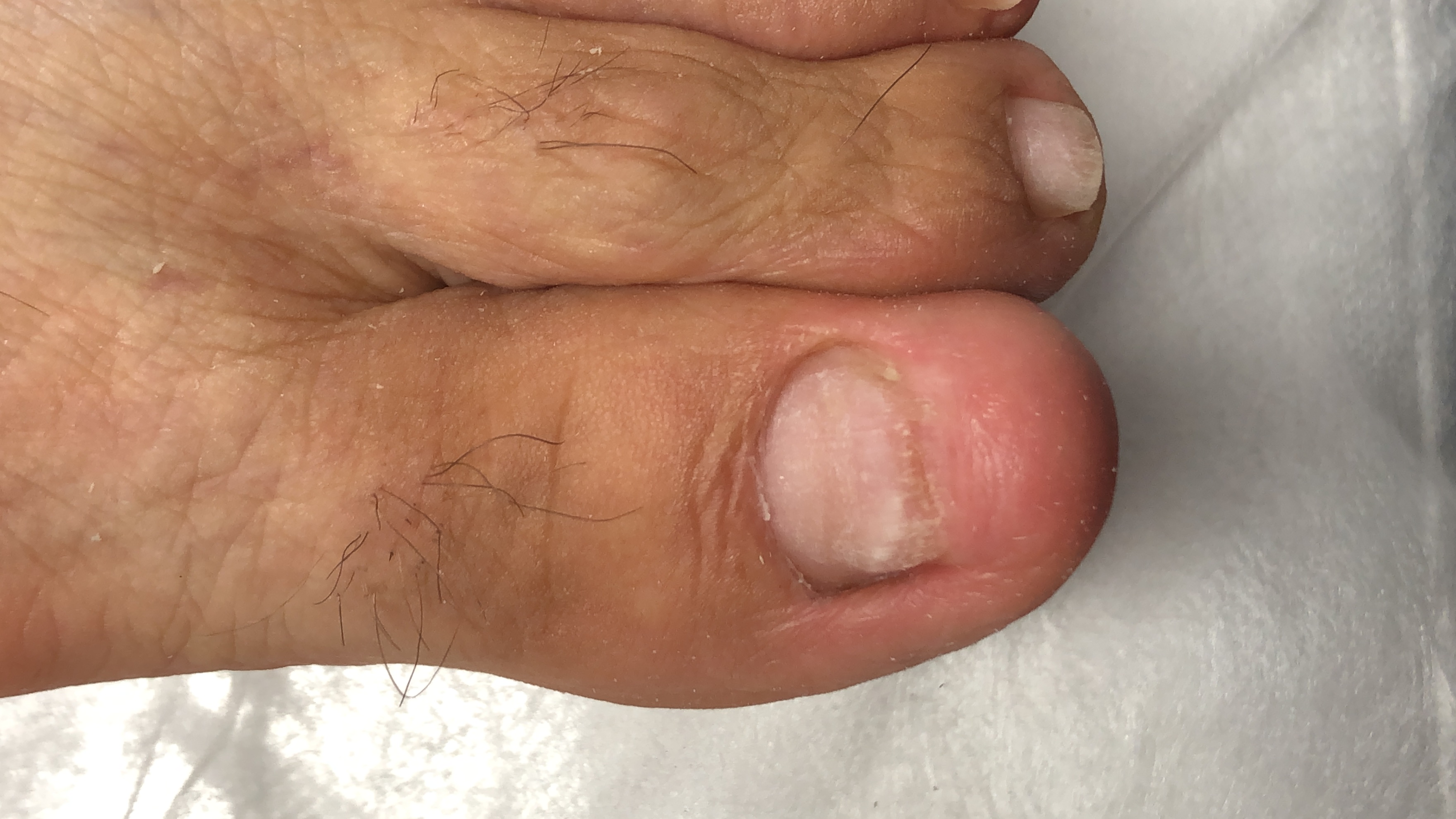 کلینیک درمان زخم و پودولوژی پودا