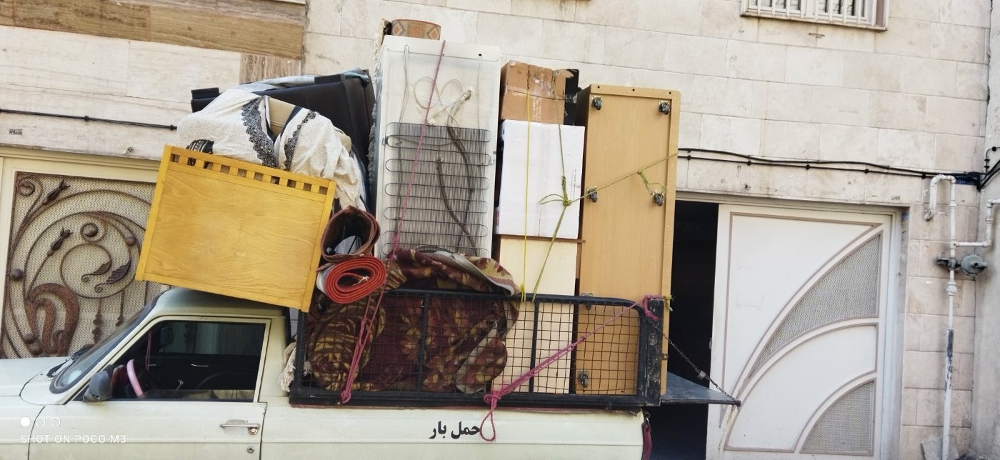 پویا زارع